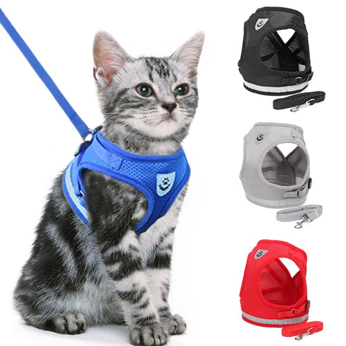 Cat/Dog Adjustable Harness Walking Vest