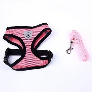 Cat/Dog Adjustable Harness Walking Vest