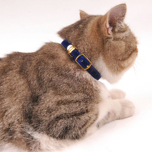 Kitten / Puppy Collar