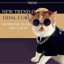 Load image into Gallery viewer, Dog / Cat Fashion Glasses