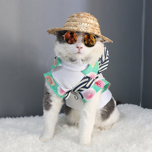 Dog / Cat Fashion Glasses