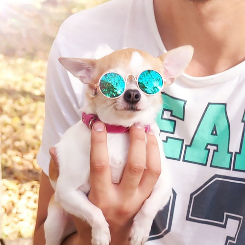 Dog / Cat Fashion Glasses