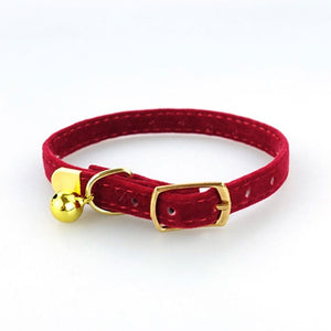 Kitten / Puppy Collar