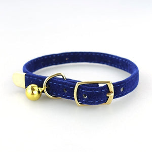 Kitten / Puppy Collar