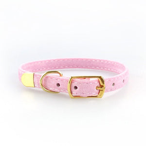 Kitten / Puppy Collar