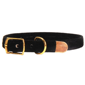 Kitten / Puppy Collar
