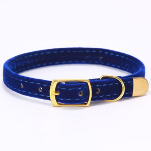 Kitten / Puppy Collar