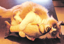 Load image into Gallery viewer, Fish Pillow Cat/Dog Toy
