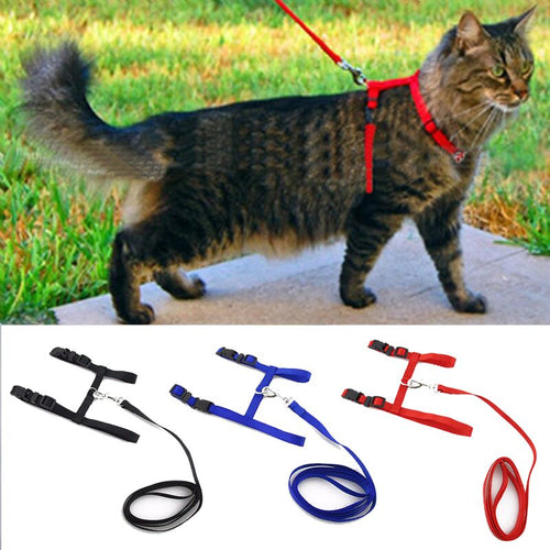 Cat Adjustable Leash