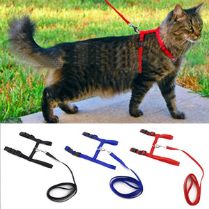 Cat Adjustable Leash