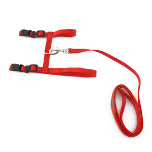 Cat Adjustable Leash