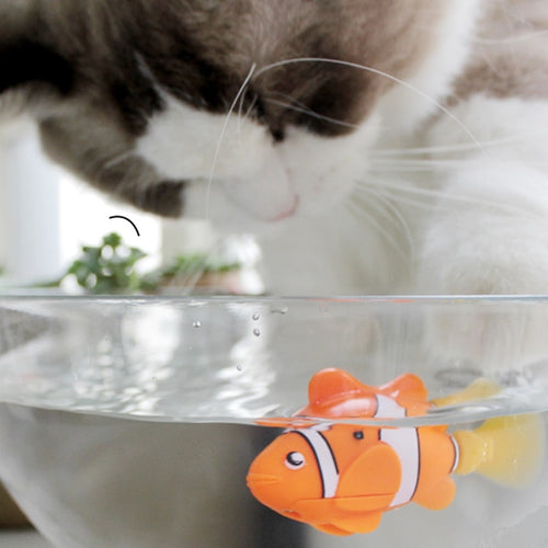 Battery Powered Fish Cat Toy